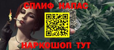 тгк Новокубанск