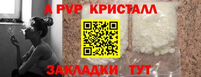 амф Новодвинск