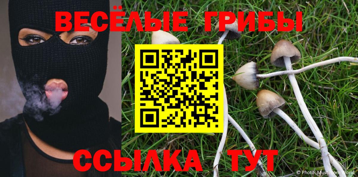 Псилоцибиновые грибы мицелий  Галлюциногенные грибы Psilocybe  Вход с VPN  Кириши 